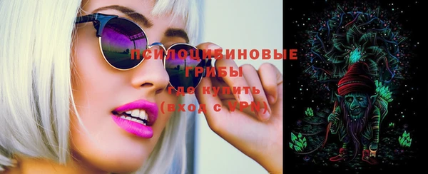 соль ск Инта
