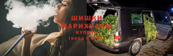 стафф Зерноград