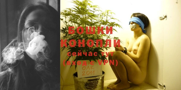 стафф Зерноград