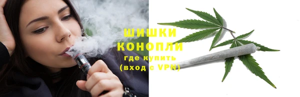 стафф Зерноград