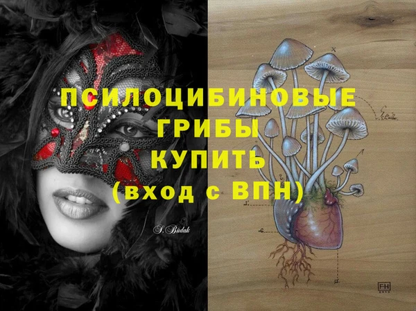 стафф Зерноград