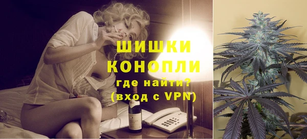 стафф Зерноград
