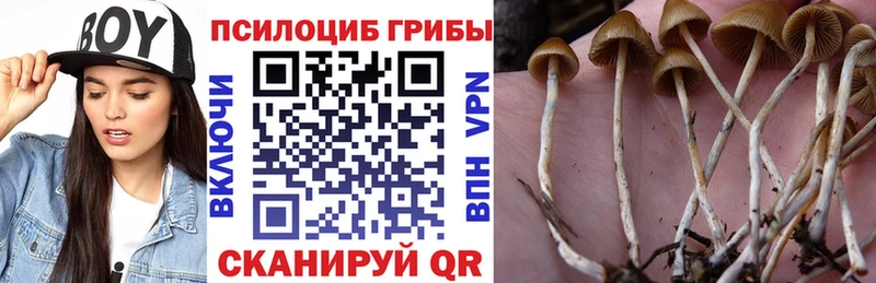 Галлюциногенные грибы GOLDEN TEACHER  Купить  Бугуруслан 